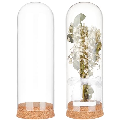 BENECREAT 2 Packung Glas-Display-Kuppelglocke, 19.5x6.5cm Große Glasglocke Gewölbte Glasgefäße, Dekorative Gläser Mit Korkboden Für Blumenpflanzen, Basteldekorationen, Innendurchmesser: 6cm von BENECREAT