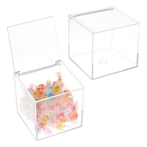 BENECREAT 2 Stück Klare Acrylbox Mit Deckel, 1cm Acrylquadrat Aufbewahrungsbox, Staubresistente Langlebige Organizer Mit Scharnierdeckel Für Geschenkverpackung Im Haus von BENECREAT