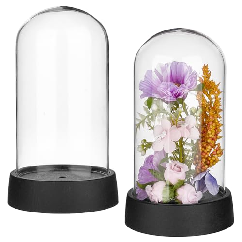 BENECREAT 2 x Dekorative Kuppelgläser. 13.2x6.95cm Große Glasglocke Mit Kuppel Und PET Basis Zur Blumenaufbewahrung Proben Basteldekorationen von BENECREAT
