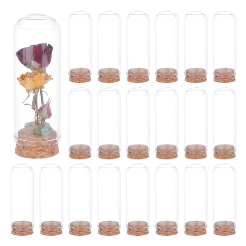 BENECREAT 20 Stück Dome Dekorative Gläser, 3x8.8cm Glas Display Dome Cloche Glasglocke mit Korkbasis für die Aufbewahrung von Blumen, Proben, Handwerksdekorationen von BENECREAT
