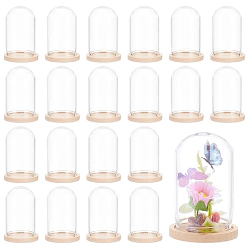 BENECREAT 30 x Mini Glockenglocke Aus Glas. Glas Display Cloche Kuppel Glasglocke Für Büro Heimdekoration Blumendekorationen Basteln von BENECREAT
