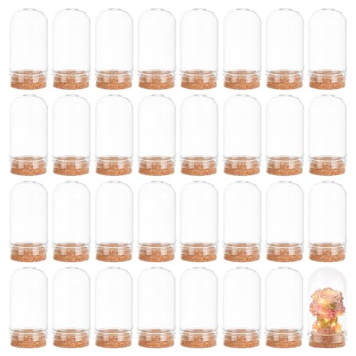 BENECREAT 32 Pack 15ml Glaser Flaschen Dekorationsflaschen mit Korken fur Partyartikel, Kunst, kleine Projekte und DIY-Dekorationen von BENECREAT