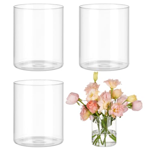 BENECREAT 4 Stück klare Blumenvase, 12 cm große Zylindervasen aus Glas für Tafelaufsätze, Glasbehälter für Stumpenkerzen, schwimmende Kerzen, Glasvase für Restaurants, Hotels, Heimdekoration von BENECREAT