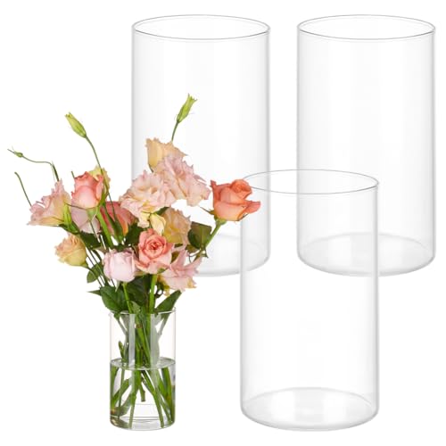 BENECREAT 4 Stück klare Glasvasen, 15 cm große Glaszylindervasen für Tafelaufsätze, Glasbehälter für Stumpenkerzen, Schwimmkerzen, Glasvase für Restaurants, Hotels, Heimdekoration BENECREAT 4 Stück klare Glasvasen, 15 cm große Glaszylindervasen für Tafelaufsätze, Glasbehälter für Stumpenkerzen, Schwimmkerzen, Glasvase für Restaurants, Hotels, Heimdekoration von BENECREAT