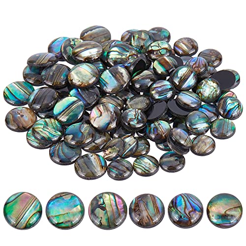 BENECREAT 90 STÜCKE Natürliche Abalone-Muschelmünzen 8 mm 10 mm Flache Runde Paua-Muschel-Cabochons-Perlen mit Aufbewahrungsbehältern für Bilderrahmen, Dekoration von Tonbechern von BENECREAT