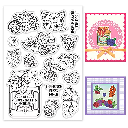 BENECREAT Obst Clear Stamps, Beeren-Himbeer-Blätter, Transparente Silikonstempel Für Die Kartenherstellung, Dekoration Und DIY Scrapbooking-Album, 16x11cm/6.3x4.3 Zoll von BENECREAT