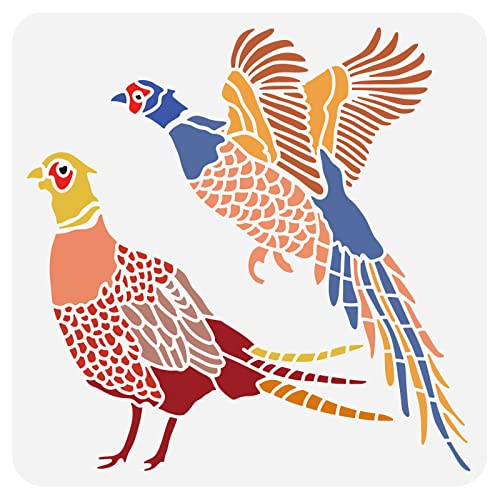BENECREAT Vogelmuster-Schablone, 30x30 cm/11.8x11.81 Zoll Wiederverwendbare PET-Zeichnungs-Malvorlage Für Kunstmalerei, Scrapbooking Und Wanddekoration von BENECREAT