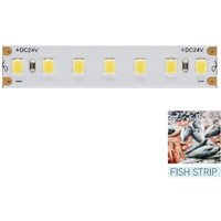LED-Streifen zur Beleuchtung der Fischfuttertheke – 5 m Spule 14,4 W/M 95 LM/W IP20 11.600 K von BENEITO FAURE