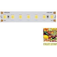 LED-Streifen zur Beleuchtung der Obst- und Gemüsetheke – 5 m Spule 14,4 w/m 90 lm/w IP20 5000 k von BENEITO FAURE