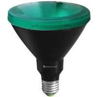 PAR38 LED-Lampe 15W E27 Parabolreflektor Grün von BENEITO FAURE