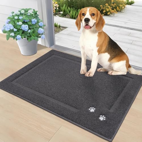 BEQHAUSE Fußmatte 60X90cm, Saugfähige Türmatte Innen, rutschfeste Schmutzfangmatte, Teppich Eingangsbereich Innen für Hund, Innenbereich, Haustür, Flur, Dunkelgrau BEQHAUSE Fußmatte 60X90cm, Saugfähige Türmatte Innen, rutschfeste Schmutzfangmatte, Teppich Eingangsbereich Innen für Hund, Innenbereich, Haustür, Flur, Dunkelgrau von BEQHAUSE