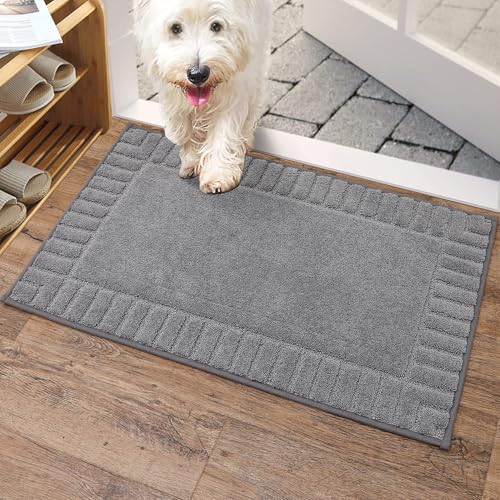 BEQHAUSE Fußmatte Innen, waschbare Sauberlaufmatte TPR rutschfeste Türmatte, Schmutzfangmatte für Haustür, super saugfähiger Fussmatte Teppich für Eingang, Haustiere und Hunde - Hellgrau, 50x80cm von BEQHAUSE