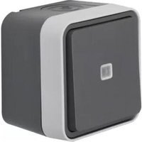 Kontroll-Wechselschalter ap W.1 grau 31763505 - Berker von BERKER