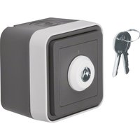 Berker Schlüsselschalter lichtgrau 32713505 Berker Schlüsselschalter lichtgrau 32713505 von BERKER