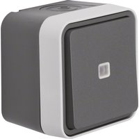 Berker Taster Wechsler lichtgrau 50763505 Berker Taster Wechsler lichtgrau 50763505 von BERKER