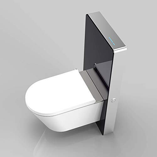 BERNSTEIN Sanitärmodul 805S mit Sensor für Wand-WC - Farbe Weiß oder Schwarz wählbar, ESG-Sicherheitsglas, Farbe:Schwarz von BERNSTEIN