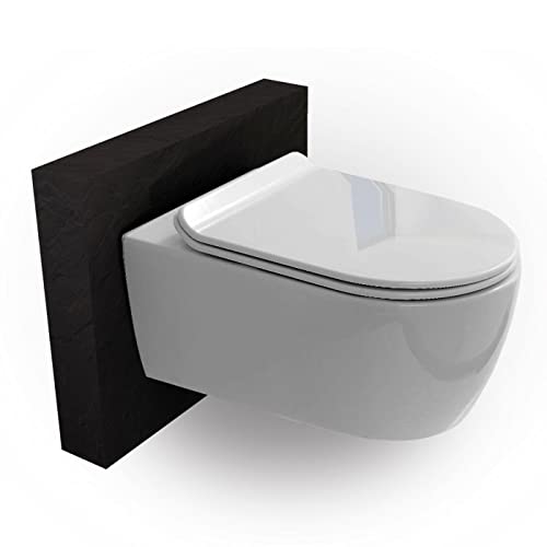 Bernstein spülrandloses Wand-Hänge WC NT2029 - NANO-Beschichtung (Lotuseffekt) - Absenkautomatik (Softclose), Keramik, Weiß, Tiefspül Toilette ohne Spülrand (Superflacher Deckel) von BERNSTEIN