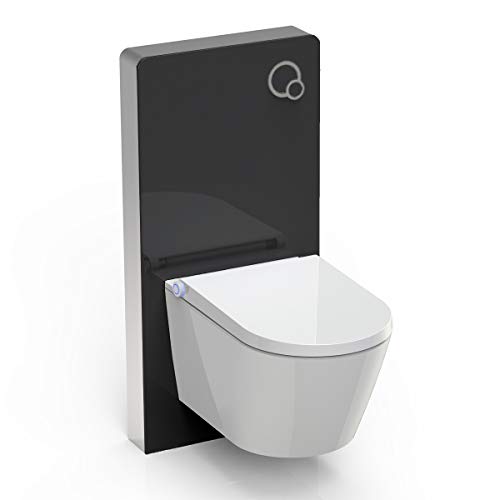 WC-Sparpaket 7: Dusch-WC Basic 1102 & Sanitärmodul 805 in Schwarz von BERNSTEIN