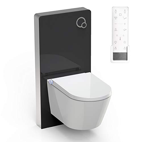 WC-Sparpaket 9: BERNSTEIN DUSCH-WC PRO+ 1102 Komplettanlage & Sanitärmodul 805 in Schwarz von BERNSTEIN