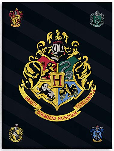 BERONAGE Große Harry Potter Hogwarts Wohndecke 150 x 200 cm super weiche Flanell-Decke Kuscheldecke Sofadecke Fleece-Decke Gryffindor Hufflepuff Ravenclaw Slytherin Ron Hermine Pass. zur Bettwäsche von BERONAGE