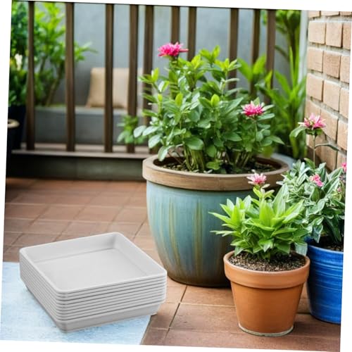 BESPORTBLE 10 Stück Kunststofftablett Quadratisches Tablett Quadratisches Pflanztablett Wasserauffangtablett Garten Wasserplatte Bonsai Topf Untertasse Pflanzgefäß von BESPORTBLE
