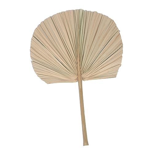 BESPORTBLE 1Stück Getrocknete Palmblatt Deko Natürliches Palmblatt Für Partydekoration Boho Blumenarrangements Festlichkeiten BESPORTBLE 1Stück Getrocknete Palmblatt Deko Natürliches Palmblatt Für Partydekoration Boho Blumenarrangements Festlichkeiten von BESPORTBLE