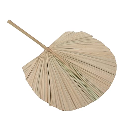 BESPORTBLE 1Stück Getrocknete Palmenblatt Wandkunst Chic Palmblatt Fächer Dekoration Für Hochzeiten Partys Moderne Wohnräume Langlebiges Umweltfreundliches Design von BESPORTBLE