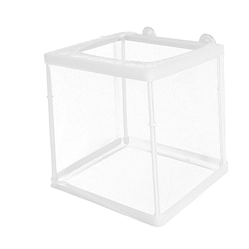 BESPORTBLE 1Stück Multifunktions Fischbrutkasten Zuchttank mit Abnehmbarer Trennwand für Betta Guppy und Transparentes Design zu Reinigen Schützt Kleine Fische von BESPORTBLE