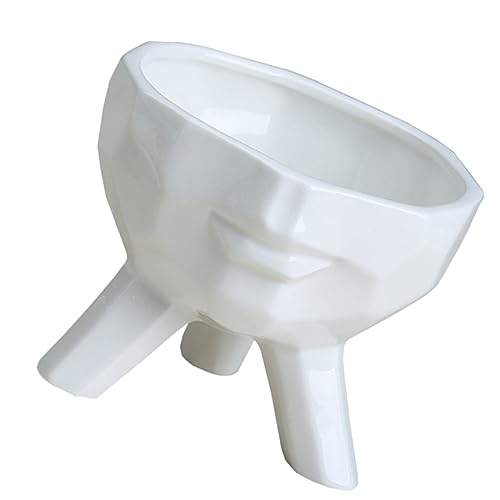 BESPORTBLE 1stück Kreativer Blumentopf Mit Gesicht Weißer Keramik-sukkulententopf Für Pflanzen Dekorativer Pflanzgefäß Für Zuhause Büro Und Garten Für Sukkulenten Und Kakteen BESPORTBLE 1stück Kreativer Blumentopf Mit Gesicht Weißer Keramik-sukkulententopf Für Pflanzen Dekorativer Pflanzgefäß Für Zuhause Büro Und Garten Für Sukkulenten Und Kakteen von BESPORTBLE