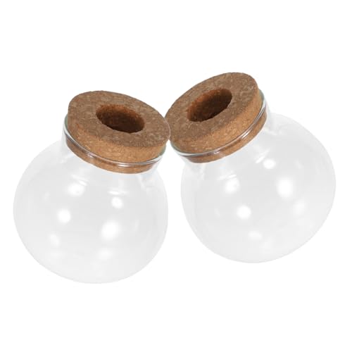 BESPORTBLE 2 Stück Hydroponik Glasvase Klare Terrarium Pflanzengefäße für Hydrokultur Kompakte Vermehrungsstationen Vielseitig für Büro und Modernes Minimalistisches Design BESPORTBLE 2 Stück Hydroponik Glasvase Klare Terrarium Pflanzengefäße für Hydrokultur Kompakte Vermehrungsstationen Vielseitig für Büro und Modernes Minimalistisches Design von BESPORTBLE