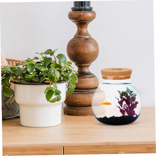 BESPORTBLE 2 Stück Led-Glas-Flasche Mikrolandschaft mit Led-weißlicht Multifunktionaler Ökologischer Flaschengarten und Dekoration für Zuhause Sicht klarer Blick DIY Landschaftsbau von BESPORTBLE