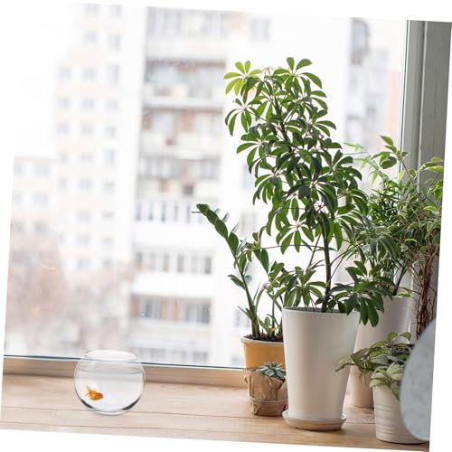 BESPORTBLE 2 Stück Runde Glasvase Fischschale Hochtransparente Aquarien Dekoration Hydroponisches Pflanzgefäß Terrarium Wasserpflanzen Schüssel für Büro Wohnzimmer BESPORTBLE 2 Stück Runde Glasvase Fischschale Hochtransparente Aquarien Dekoration Hydroponisches Pflanzgefäß Terrarium Wasserpflanzen Schüssel für Büro Wohnzimmer von BESPORTBLE