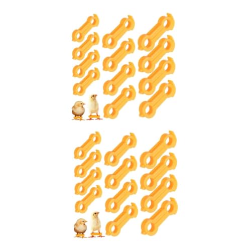 BESPORTBLE 24 Stck. Teiliges Küken Bein Stabilisator in Sanfte Spreizbein Korrektur für Neugeborene Vögel Robustes Kunststoffband zur Effektiven Fußdeformitäten Behandlung Langlebig und von BESPORTBLE