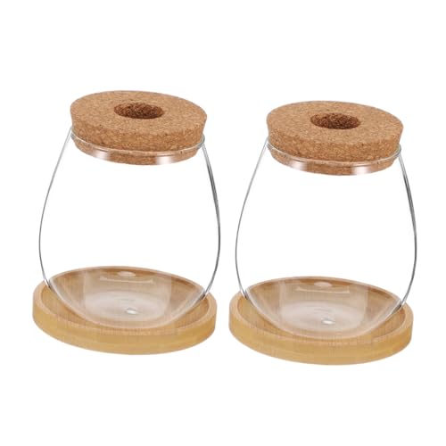 BESPORTBLE 2sätze Glasvasen Für Hydrokultur Transparente Pflanzgefäße Mit Korkverschluss Und Bambusuntersetzern Wasseranzucht Für Sukkulenten Und Wurzelbeobachtung BESPORTBLE 2sätze Glasvasen Für Hydrokultur Transparente Pflanzgefäße Mit Korkverschluss Und Bambusuntersetzern Wasseranzucht Für Sukkulenten Und Wurzelbeobachtung von BESPORTBLE