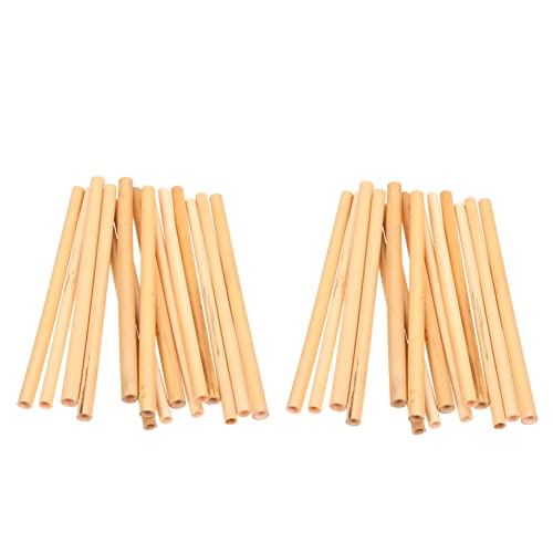 BESPORTBLE 300 Stück Natürliche Lange Röhrchen für Mauerbienen Ersatz Bienenhaus Röhren Robustem Schilfrohr Stabiler Wildbienen Unterschlupf zur Pollination und Bienenhaltung BESPORTBLE 300 Stück Natürliche Lange Röhrchen für Mauerbienen Ersatz Bienenhaus Röhren Robustem Schilfrohr Stabiler Wildbienen Unterschlupf zur Pollination und Bienenhaltung von BESPORTBLE