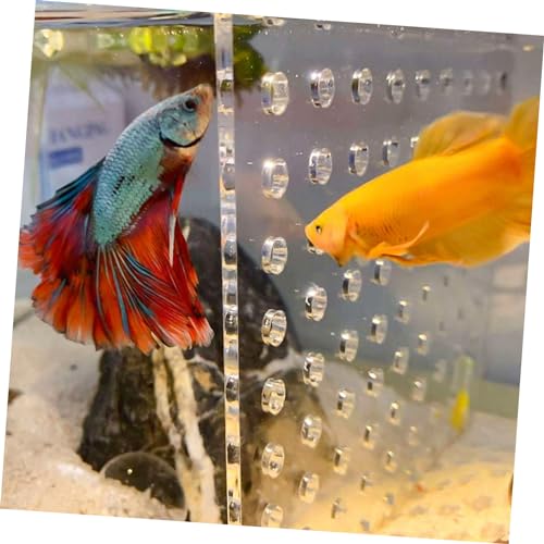 BESPORTBLE 4 Stück Aquarium Trennwand mit Clips Fischbecken Isolationsplatte Fischabscheider Schutz für Jungfische Robuste Glatte Oberfläche Sichere Fischtrennung von BESPORTBLE