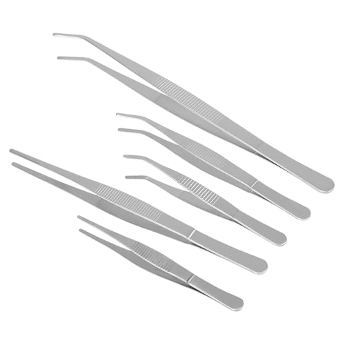 BESPORTBLE 5 Stück Teiliges Gartenzubehör Edelstahlpinzetten für Sukkulenten Bonsai Pflanzpflege Präzise Gartenwerkzeuge für DIY Gartenpflege und Zimmerpflanzen BESPORTBLE 5 Stück Teiliges Gartenzubehör Edelstahlpinzetten für Sukkulenten Bonsai Pflanzpflege Präzise Gartenwerkzeuge für DIY Gartenpflege und Zimmerpflanzen von BESPORTBLE