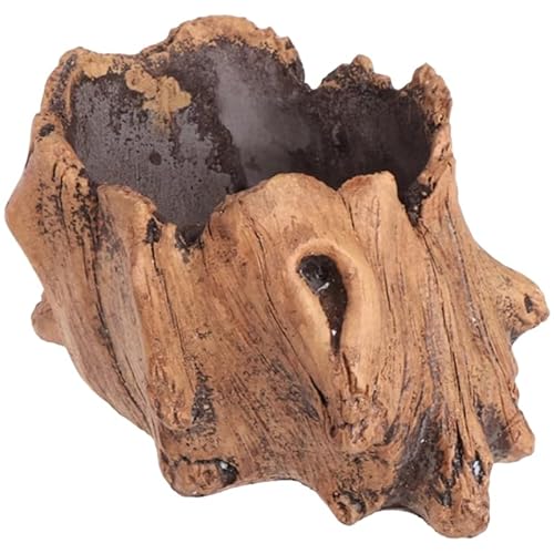 BESPORTBLE Zement-Blumentopf im Holz-Look – Deko-Pflanzgefäß für Sukkulenten, Kakteen & Büro-Accessoires BESPORTBLE Zement-Blumentopf im Holz-Look – Deko-Pflanzgefäß für Sukkulenten, Kakteen & Büro-Accessoires von BESPORTBLE