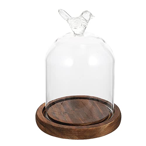 BESPORTBLE Glas Kuppel Glocke Glashaube Vogel Deko Glasglocke Deko Käseglocke Glas mit Holzboden für Hochzeit Ostern Party Tischdeko von BESPORTBLE