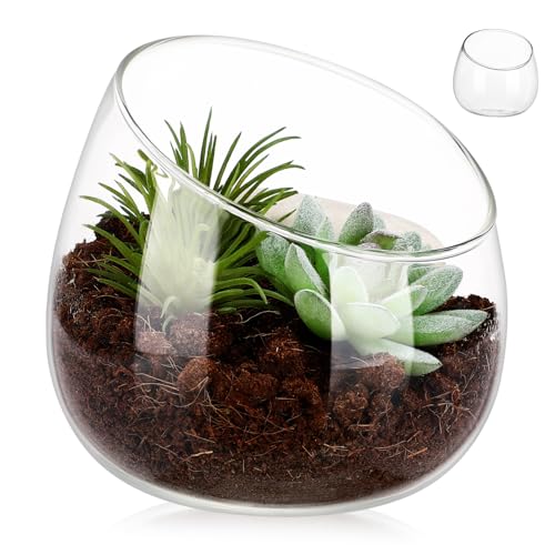 BESPORTBLE Glasblumenvase mit Schrägem Design Klare Glasschale Stabiler Blumentopf für Sukkulenten und Moos Kompakter Pflanztopf für Indoor Dekoration Vielseitig für Kleine Räume und Garten von BESPORTBLE