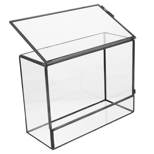 BESPORTBLE Handgefertigtes Geometrisches Glas Terrarium Mini mikrolandschaft Pflanzenhalter für Moos und Sukkulenten Ökologischer Desktop pflanzcontainer für Wohnzimmer und Bürodekoration BESPORTBLE Handgefertigtes Geometrisches Glas Terrarium Mini mikrolandschaft Pflanzenhalter für Moos und Sukkulenten Ökologischer Desktop pflanzcontainer für Wohnzimmer und Bürodekoration von BESPORTBLE