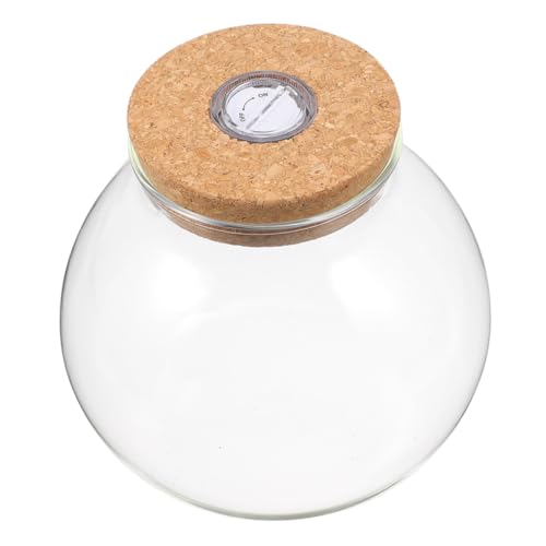 BESPORTBLE Hydroponisches Glasgefäß mit Holzdeckel und Led-licht Transparente Pflanzstation für Schreibtisch Runder Terrarien-blumentopf Kompakte Mini-Landschaft für Zimmer Bürodekoration BESPORTBLE Hydroponisches Glasgefäß mit Holzdeckel und Led-licht Transparente Pflanzstation für Schreibtisch Runder Terrarien-blumentopf Kompakte Mini-Landschaft für Zimmer Bürodekoration von BESPORTBLE