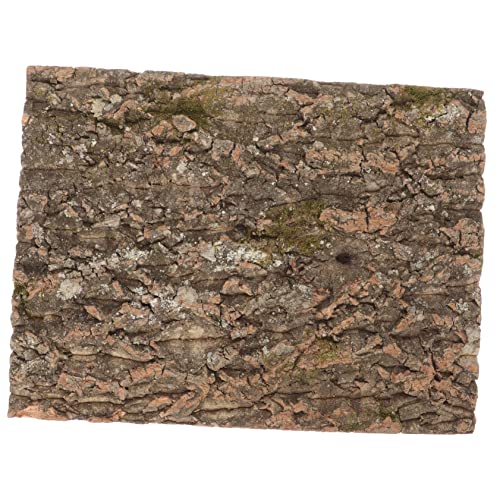 BESPORTBLE Korkrinde für Terrarium Natürliche Korkplatte für Reptilien Kletterfläche für Eidechsen Schildkröten und Andere Haustiere Langlebig und Pflegeleicht BESPORTBLE Korkrinde für Terrarium Natürliche Korkplatte für Reptilien Kletterfläche für Eidechsen Schildkröten und Andere Haustiere Langlebig und Pflegeleicht von BESPORTBLE