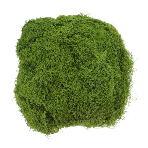 BESPORTBLE Künstliches Moos für Dekoration Simuliertes Moos für Bastelprojekte Realistischer Kunstrasen für Bonsai und Topfpflanzen Vielseitig Einsetzbar BESPORTBLE Künstliches Moos für Dekoration Simuliertes Moos für Bastelprojekte Realistischer Kunstrasen für Bonsai und Topfpflanzen Vielseitig Einsetzbar von BESPORTBLE