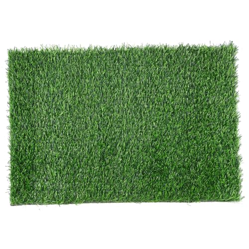 BESPORTBLE Fußmatte Aus Gras Für Den Außenbereich Grüner Kunstrasen Leicht Zu Reinigen 40 X 60 cm Künstliche Gras-fußmatte Für Die Vordertür Keine Tägliche Pflege Erforderlich von BESPORTBLE
