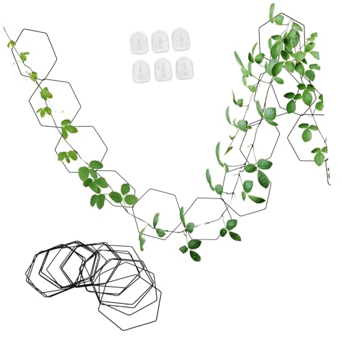 BESPORTBLE Metall Kettenspalier für Kletterpflanzen Ringe mit Wandhaken Pflanzengitter Pflanzenstütze Gartenkletterhilfe Stabiles Verstellbares Rankgitter für Innen und Außen BESPORTBLE Metall Kettenspalier für Kletterpflanzen Ringe mit Wandhaken Pflanzengitter Pflanzenstütze Gartenkletterhilfe Stabiles Verstellbares Rankgitter für Innen und Außen von BESPORTBLE