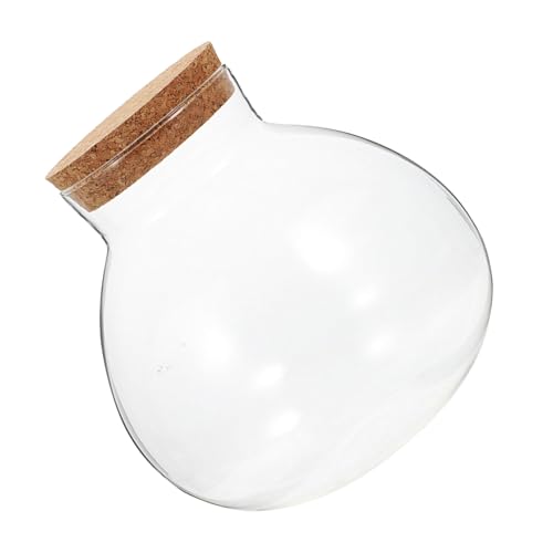 BESPORTBLE Ökologische Mikrolandschaftsflasche Terrarium mit Deckel verkorkte Glasflasche Moosglas Glasanlagenbehälter geschlossenes Terrarienglas Flasche mit Mikrolandschaft Transparent von BESPORTBLE