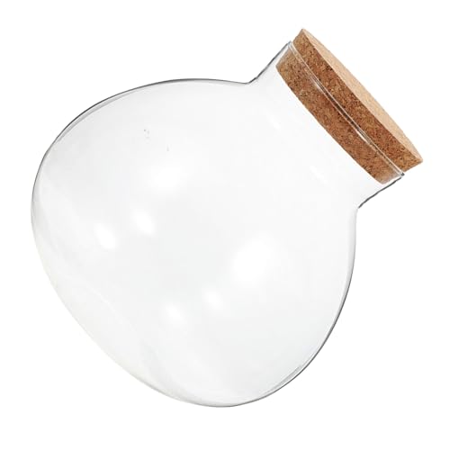 BESPORTBLE Ökologische Mikrolandschaftsflasche geschlossenes Terrarienglas Desktop-Mikrolandschaftsflasche saftiges Glas Landschaft Flasche Glasflasche Vermehrungstopf Kork Transparent von BESPORTBLE