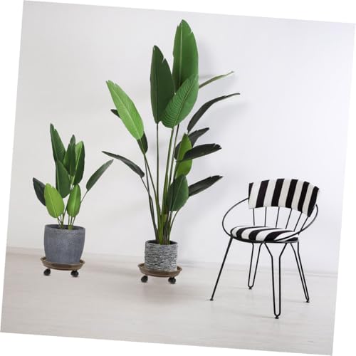 BESPORTBLE Pflanzenroller mit Rädern Runder Pflanzenwagen Mobiler Blumentopf Mover Stabiler Pflanzentisch für Garten und Innenbereich Einfacher Transport Schwerer Pflanzgefäße BESPORTBLE Pflanzenroller mit Rädern Runder Pflanzenwagen Mobiler Blumentopf Mover Stabiler Pflanzentisch für Garten und Innenbereich Einfacher Transport Schwerer Pflanzgefäße von BESPORTBLE