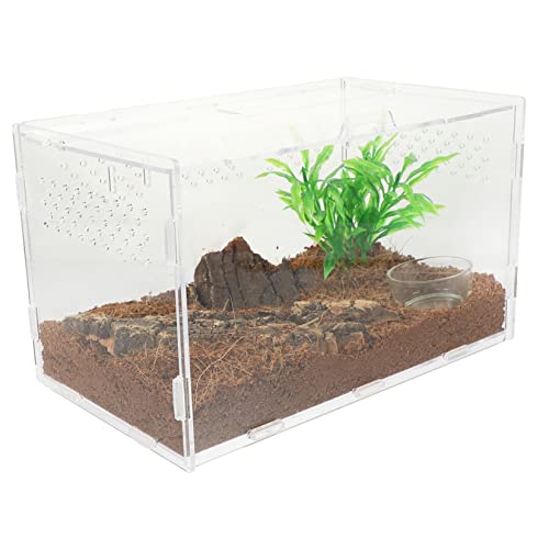 BESPORTBLE Reptilien Terrarium aus Klarem Langlebiges Gecko und Tarantel Gehege mit Belüftung Wetterbeständiger Reptilienaufzuchtbox Teiligem Zubehörset BESPORTBLE Reptilien Terrarium aus Klarem Langlebiges Gecko und Tarantel Gehege mit Belüftung Wetterbeständiger Reptilienaufzuchtbox Teiligem Zubehörset von BESPORTBLE